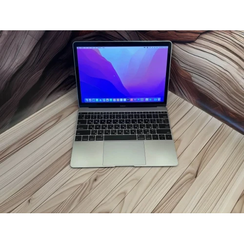 Ноутбук Apple MacBook 12" 2016 Retina дисплей (2304x1440) Intel Core m RAM 8 / 500 SSD Space Gray (C02RJ0FKGTHV-R) Б/В