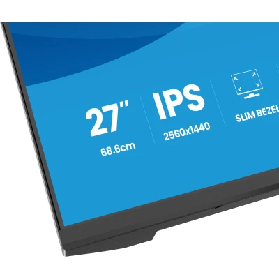 Монитор iiyama X2793QSU-B1 2560 x 1440 IPS чорний (X2793QSU-B1-B) — фото 11