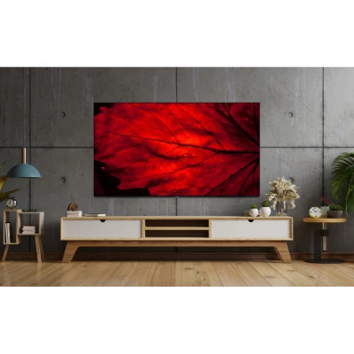 Телевізор AIWA 55GO70804UHD [55GO70804UHD-B] — фото 6