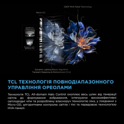 Телевізор TCL 65C6K [65C6K-B] — фото 10