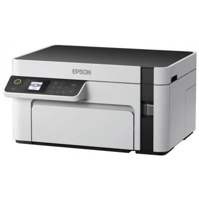 Принтер Epson M2110