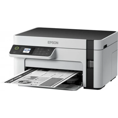 Принтер Epson M2120