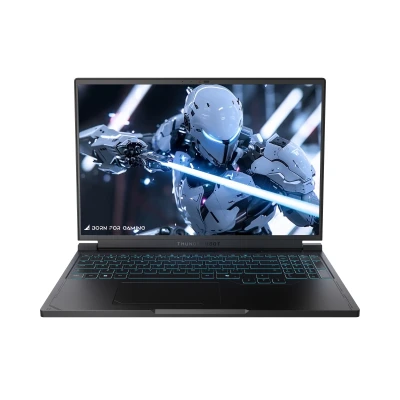 Thunderobot RS16 2560x1600
