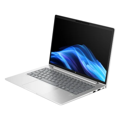 Ноутбук HP ProBook 4 G1a 1920x1200 (WUXGA) AMD Ryzen 7 250 RAM 16 / SSD сріблястий (AX6J0AV_V1-B) — фото 3