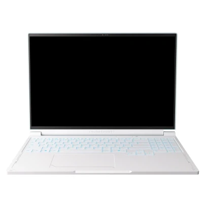 Thunderobot RS16 2560x1600