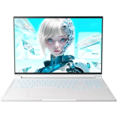 Thunderobot RS16 2560x1600