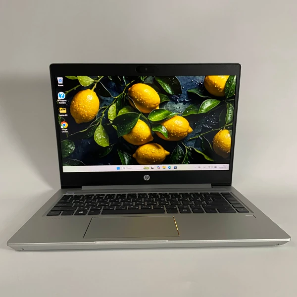 HP Probook 445 G7 14″ AMD Ryzen 5 4500U RAM 16 / 256 SSD Сірий