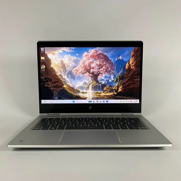 Ноутбук HP ProBook x360 435 G7 13.3″ AMD Ryzen 5 4500U RAM 16 / 256 SSD Сірий (а-3124-L) Б/У