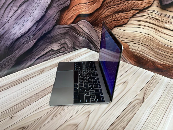 Ноутбук Apple MacBook 12" 2016 Retina дисплей (2304x1440) Intel Core m RAM 8 / 500 SSD Space Gray (C02RJ0FKGTHV-R) Б/В — фото 3