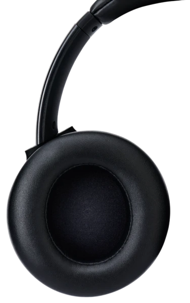 Навушники Panasonic RB-M600BG-K [RB-M600BG-K-Y] — фото 2